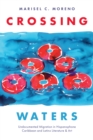 Image for Crossing waters  : undocumented migration in Hispanophone Caribbean and Latinx literature and art