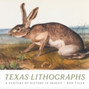 Image for Texas Lithographs