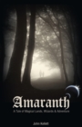 Image for Amaranth - a Tale of Magical Lands, Wizards and Adventure