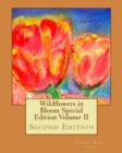 Image for Wildflowers in Bloom Special Edition Volume II : Second Edition