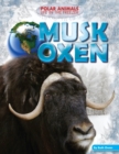 Image for Musk Oxen
