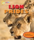 Image for Lion Prides