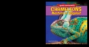 Image for Chameleons: Masters of Disguise!