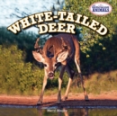Image for White-Tailed Deer