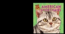 Image for American Shorthairs