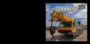 Image for Cranes