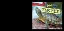 Image for My Turtle