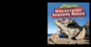 Image for Unearthing Igneous Rocks