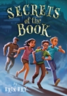 Image for Secrets of the Book