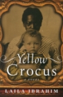 Image for Yellow Crocus