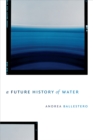 Image for A Future History of Water