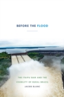Image for Before the Flood