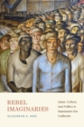 Image for Rebel Imaginaries: Labor, Culture, and Politics in Depression-Era California
