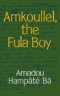 Image for Amkoullel, the Fula boy