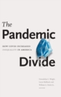 Image for The pandemic divide  : how COVID increased inequality in America
