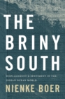 Image for The briny South  : displacement and sentiment in the Indian Ocean world