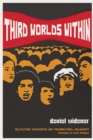 Image for Third worlds within  : multiethnic movements and transnational solidarity