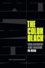 Image for The color black  : enslavement and erasure in Iran
