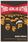 Image for Third worlds within: multiethnic movements and transnational solidarity