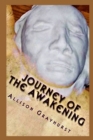Image for Journey of the Awakening
