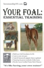 Image for Your Foal : Essential Training