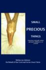 Image for Small Precious Things : Experience and Godly Wisdom Spiritually Colliding in a Set of Hands