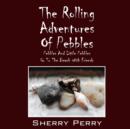 Image for The Rolling Adventures of Pebbles