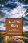 Image for Amidst the Storm : Sequel to With the Rain Comes Love