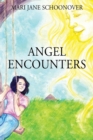 Image for Angel Encounters