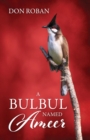Image for A Bulbul Named Ameer