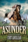 Image for Asunder : A Novel of the Civil War