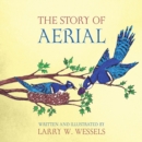 Image for The Story of Aerial