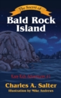 Image for The Secret of Bald Rock Island