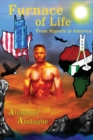Image for Furnace of Life from Nigeria to America