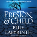 Image for Blue Labyrinth