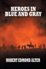 Image for Heroes in Blue and Gray