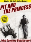 Image for Pit and the Princess
