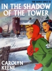 Image for In the Shadow of the Tower: The Dana Girls #3