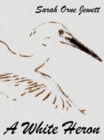 Image for White Heron