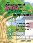 Image for The Adventures of Anna and Andy Hummingbird : Anna and Andy Meet the Grandchildren, Book 3 Stories 11, 12 and 13