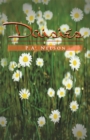 Image for Daisies