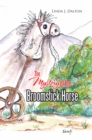 Image for Mystery of the Broomstick Horse
