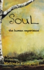Image for Soul: The Human Experience
