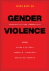Image for Gender Violence: Interdisciplinary Perspectives