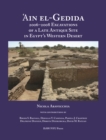 Image for &#39;Ain el-Gedida : 2006-2008 Excavations of a Late Antique Site in Egypt&#39;s Western Desert (Amheida IV)