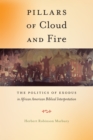 Image for Pillars of cloud and fire  : the politics of exodus in African American biblical interpretation