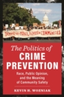 Image for The Politics of Crime Prevention
