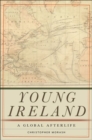 Image for Young Ireland  : a global Ireland