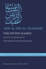 Image for Divine Names: A Mystical Theology of the Names of God in the Qur?an