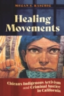 Image for Healing Movements : Chicanx-Indigenous Activism and Criminal Justice in California